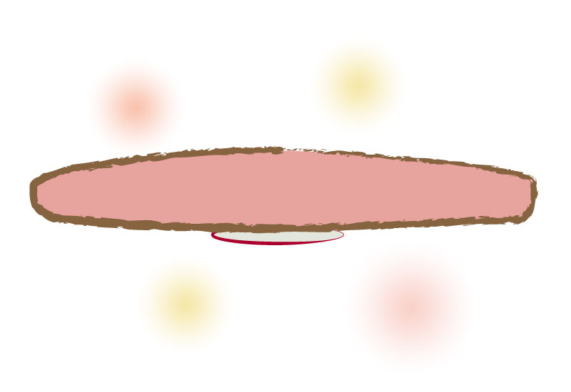 座布団やクッションの下にも